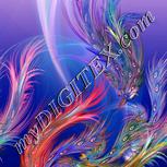Colour:J