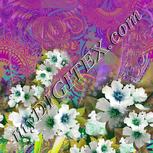 Colour:D