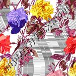 Colour:A