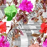 Colour:B
