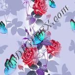 Colour:B