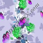 Colour:C