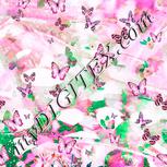 Colour:B