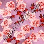 Colour:B