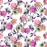 Colour:B