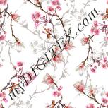 Colour:A
