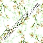 Colour:K