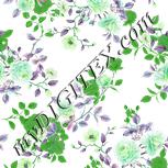 Colour:C