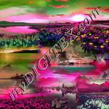 Colour:B