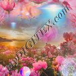 Colour:A