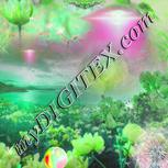 Colour:C