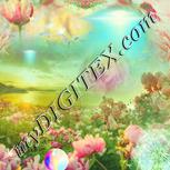 Colour:K