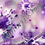 Colour:D