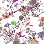 Colour:B