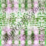 Colour:D