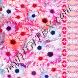 Colour:J