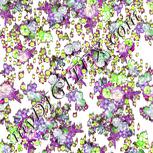 Colour:D