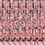 Colour:J