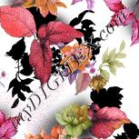 Colour:B