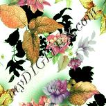 Colour:K