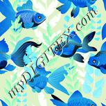 Colour:F