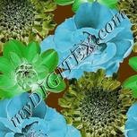Colour:F