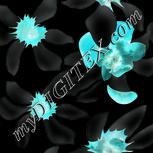 Colour:F