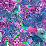 Colour:C