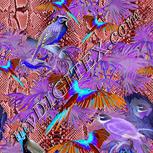 Colour:F