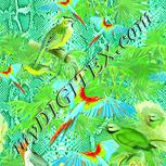Colour:K