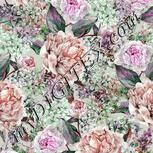 Colour:B