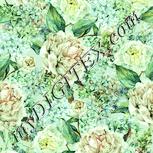 Colour:K
