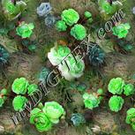 Colour:D
