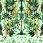 Colour:K