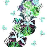 Colour:C