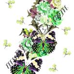 Colour:D