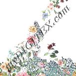 Colour:A