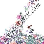 Colour:B