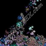 Colour:F