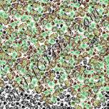 Colour:C