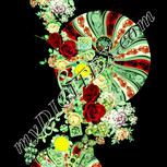 Colour:K