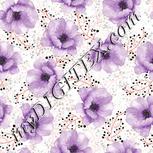 Colour:B