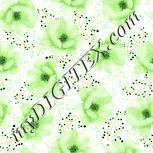 Colour:K