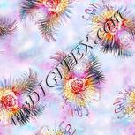 Colour:A
