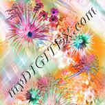 Colour:B