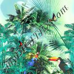 Colour:A