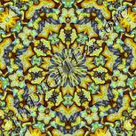 Colour:A