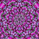 Colour:B