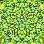 Colour:K