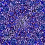Colour:F